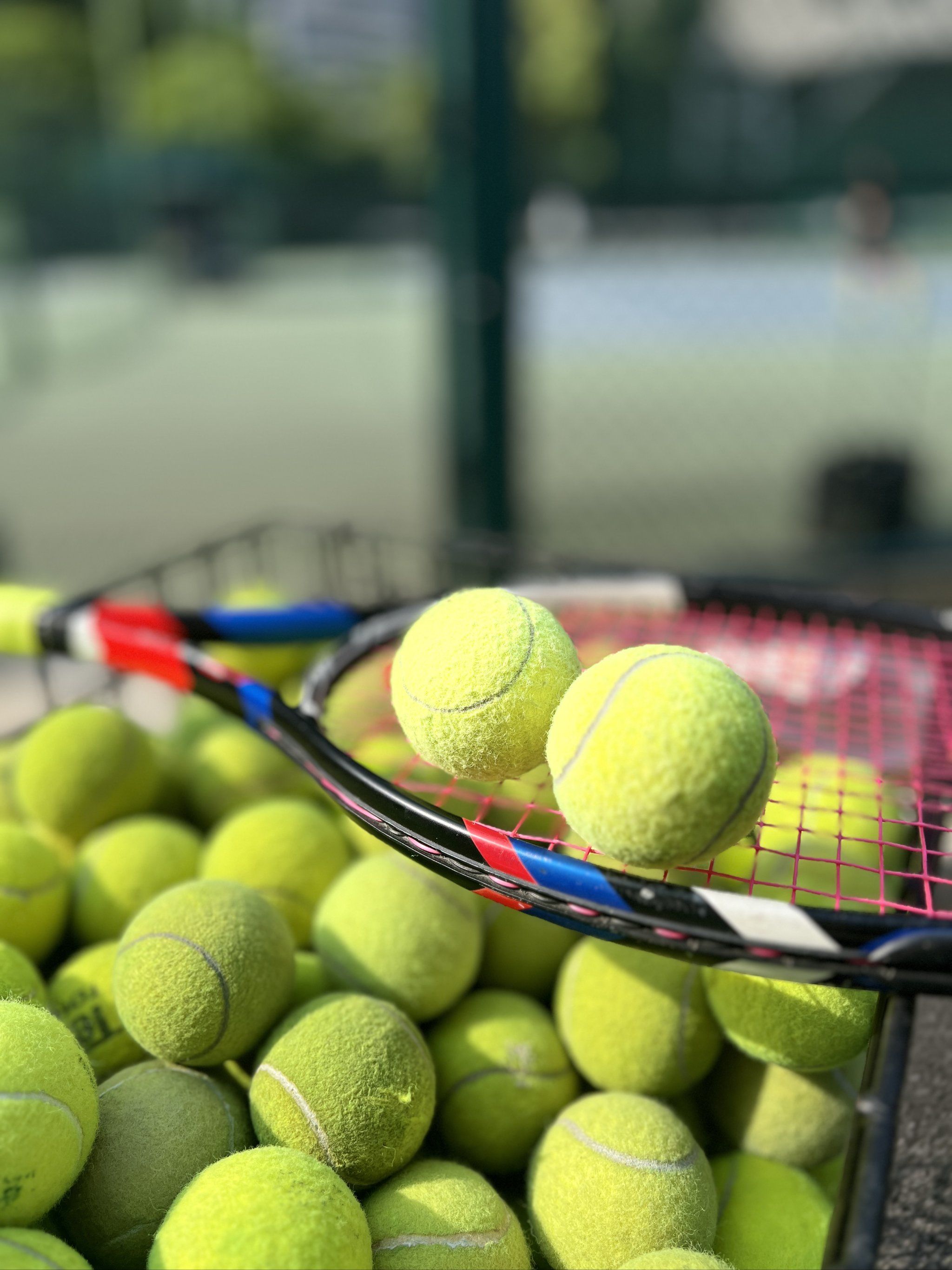 1战胜了传 1战胜了传