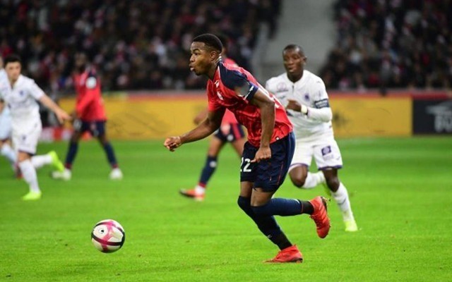 化的環境 化的環境