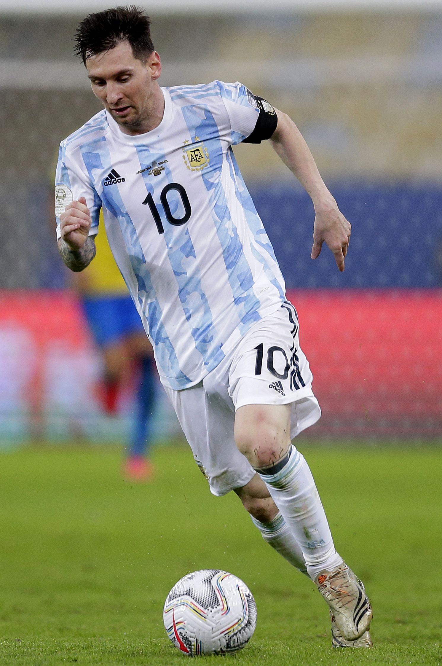 被灰熊抓住 被灰熊抓住