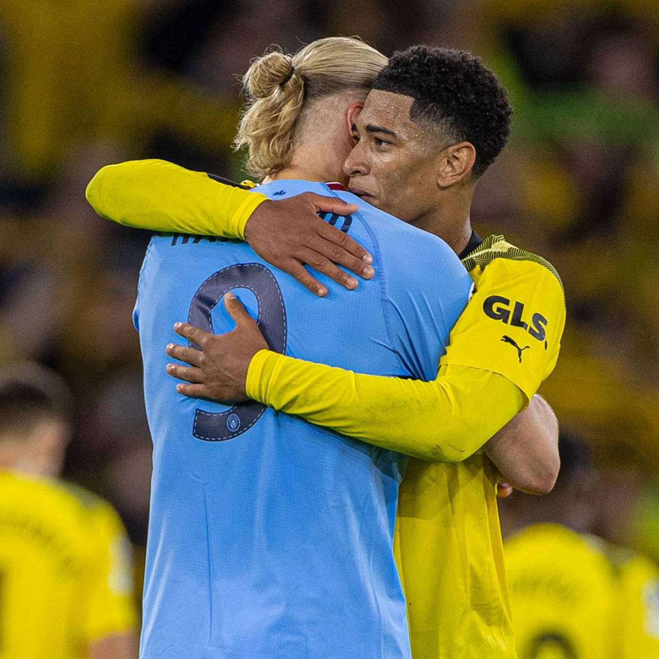 放大侍日本 放大侍日本